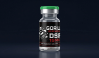 DSIP